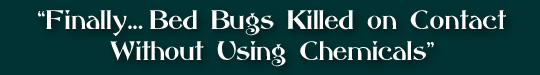 Bed Bug Zappers